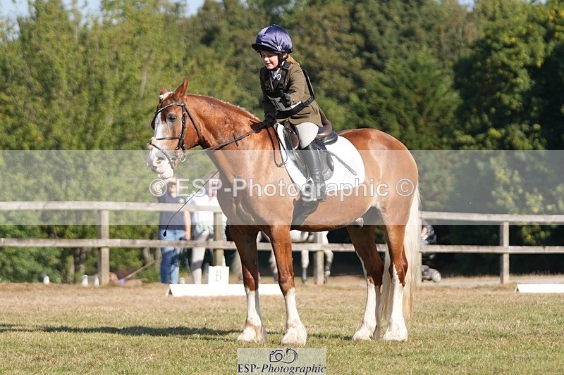 250823A-092742-25675 - Arena A