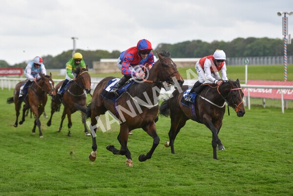 yr14052021r6-22 - Race 6 4.15pm Yorkshire Equine Practice Stakes