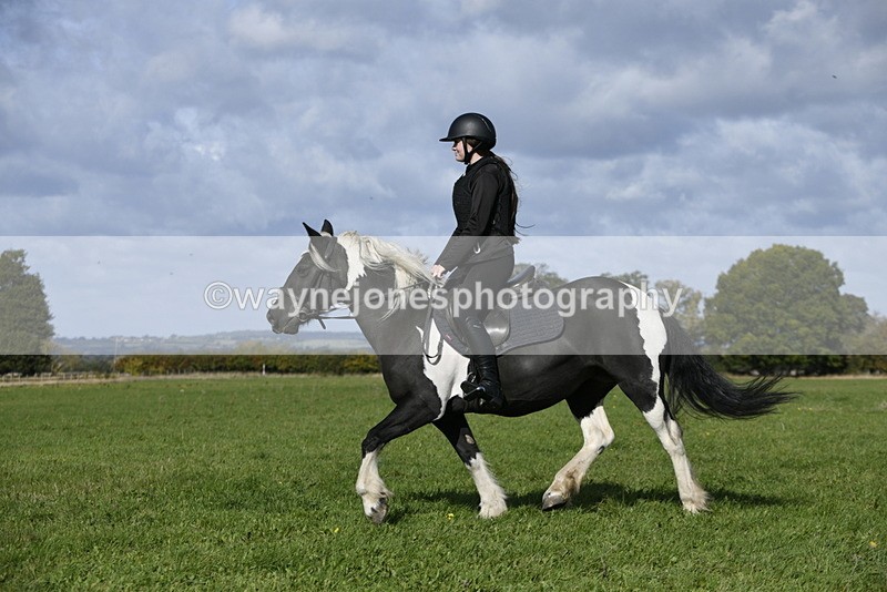 _DSC6651 - Time 11:23 to 12:05