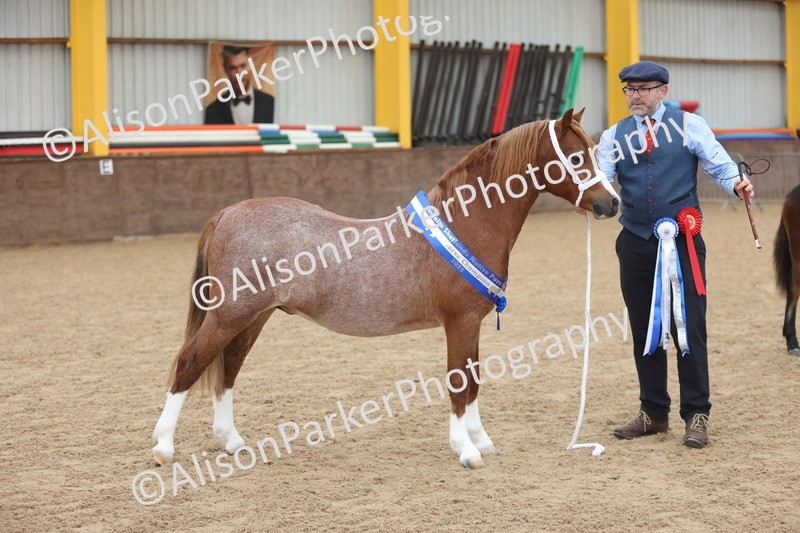 20251109-0703 - Championship