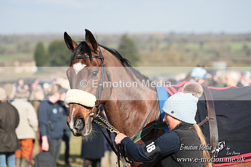 PtP 010325 263 - Beaufort Races Didmarton 01/03/25
