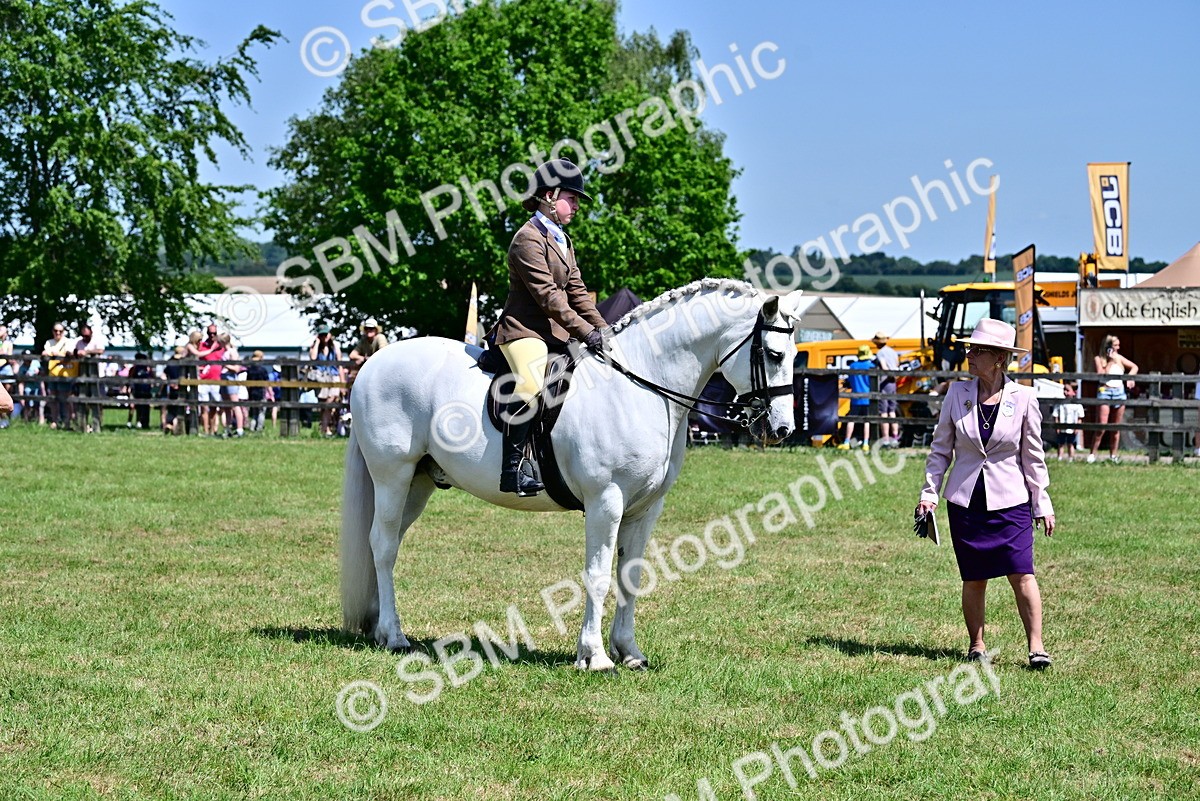 SBM_15327 - Class 95-97 - BSPS LHS Performance Ponies