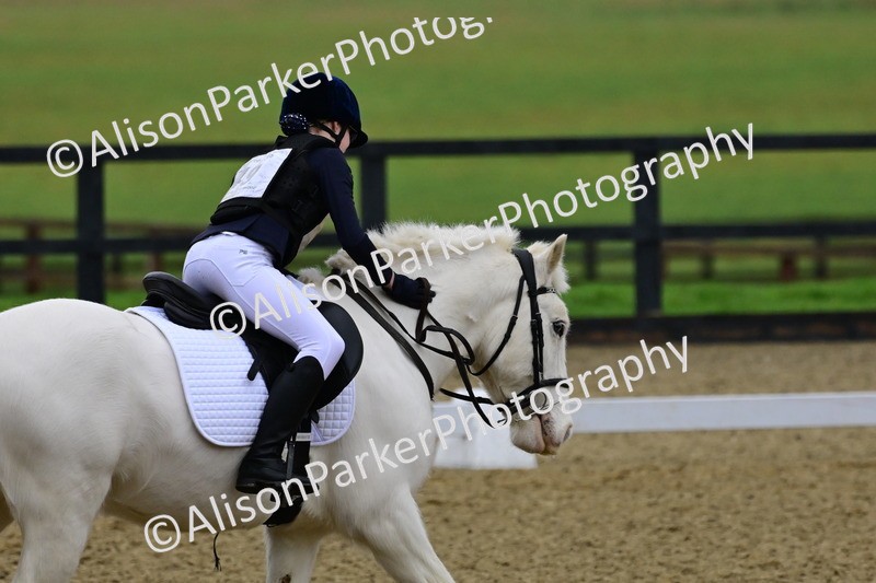 20260125-0600 - Class 9b - Walk Trot Unassisted