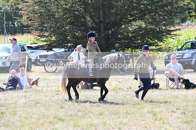 WJ6_7946 - Class 36 Lead Rein