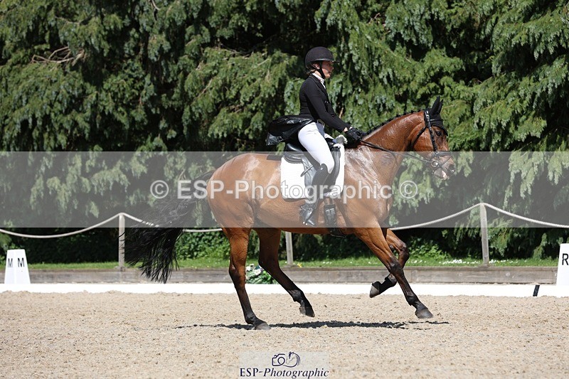230526-150307-06611 - 377-GOLD_NUGGET-Jillian_Giessen-WEDTrotUp+DR