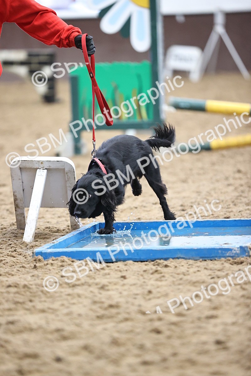SBM_001457 - Class 3 - Horse & Hound 60cm