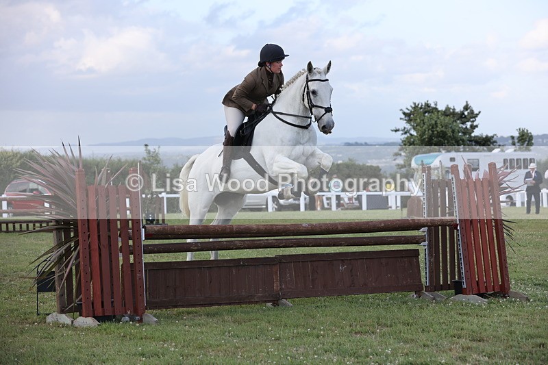 JPP_3604 - Class 24: Open Working Hunter