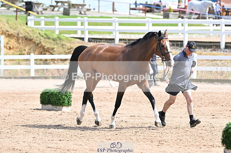 240717A-153427-02891 - Trot Up 3pm to 4pm