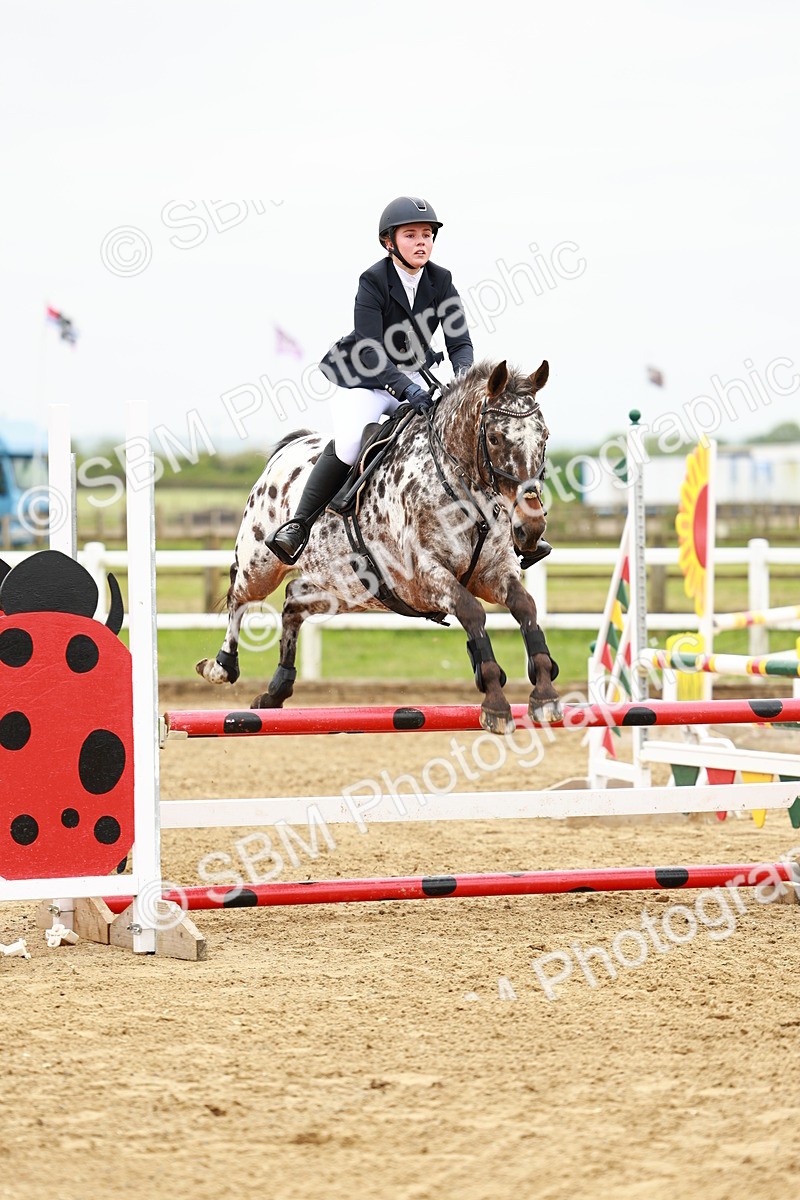 SBM_000343 - Class 2 - Senior British Novice - 90cm