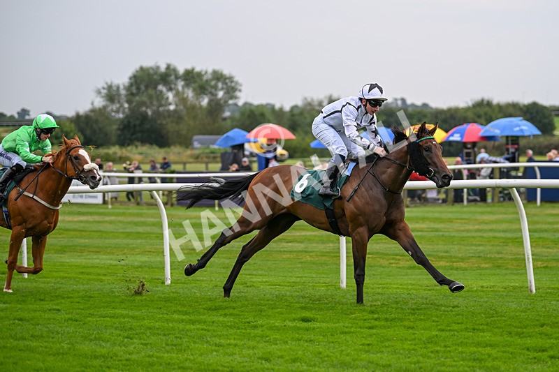 280824-Race 1-Nala Star-3947 - Race 1