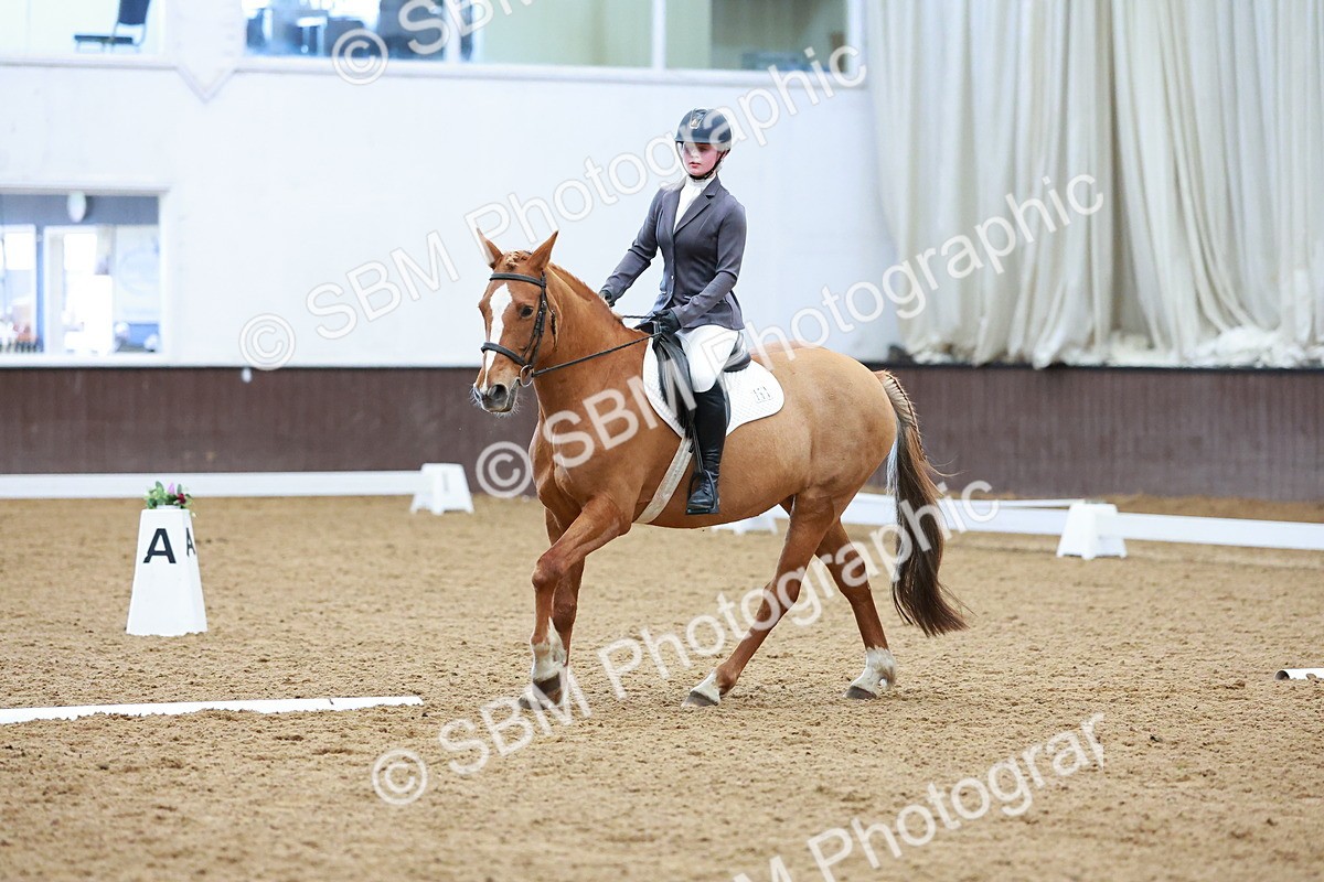 SBM_003833 - Class 11 - Novice 2