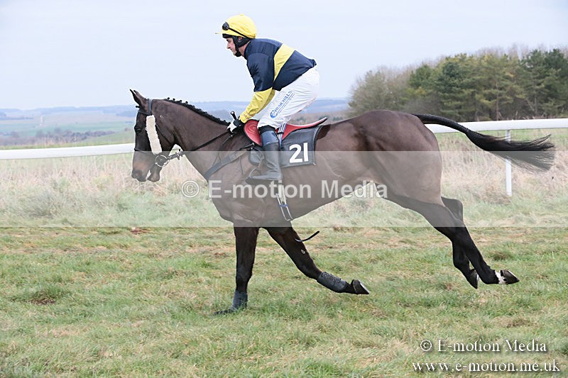PtP 060119 204 - Larkhill Racing Club - Point-to-Point- 06/01/2019