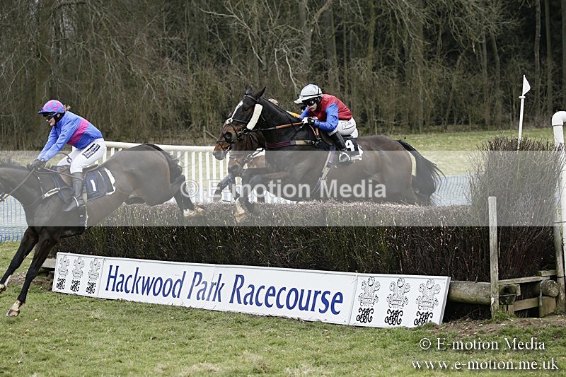 PtP 110318 140 - Hampshire Hunt Point-to-Point Hackwood Park 11/03/18
