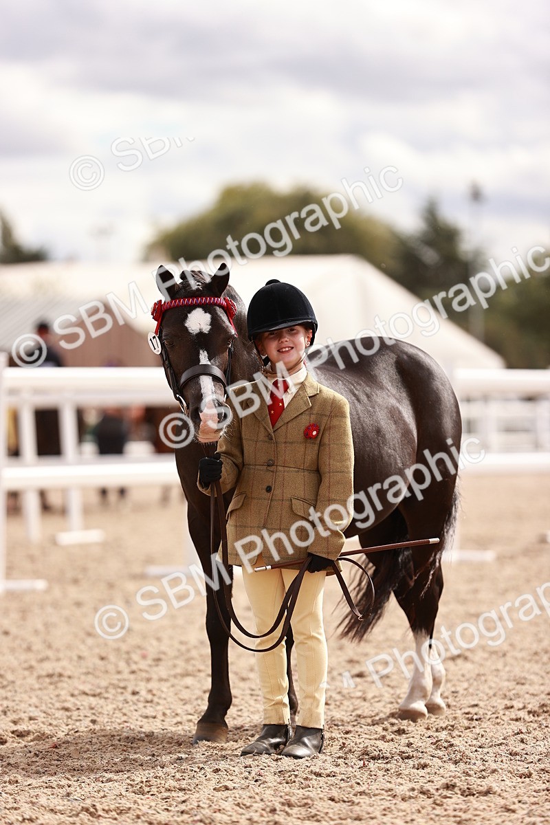 SBM_18389 - Class 418 - Best Condition - Jnr