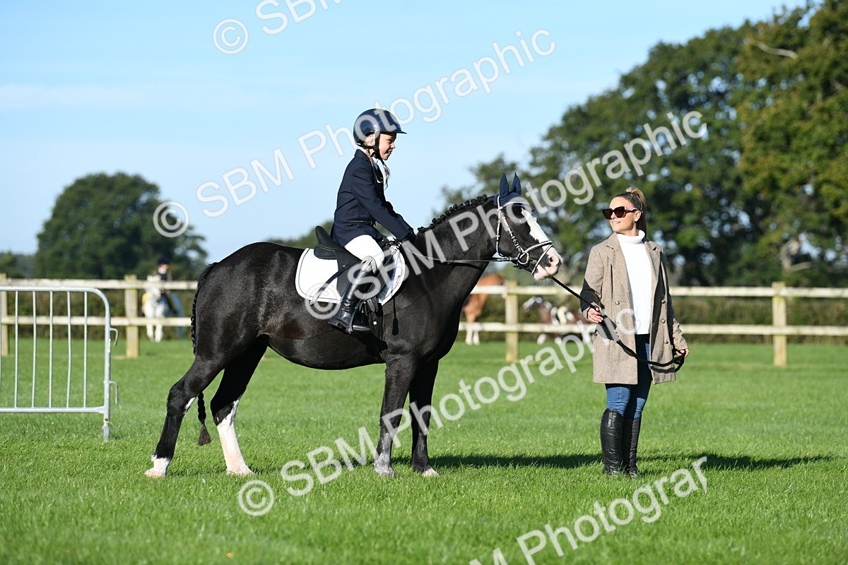 SBM_35337 - S17 - Condition & Turnout - Lead Rein
