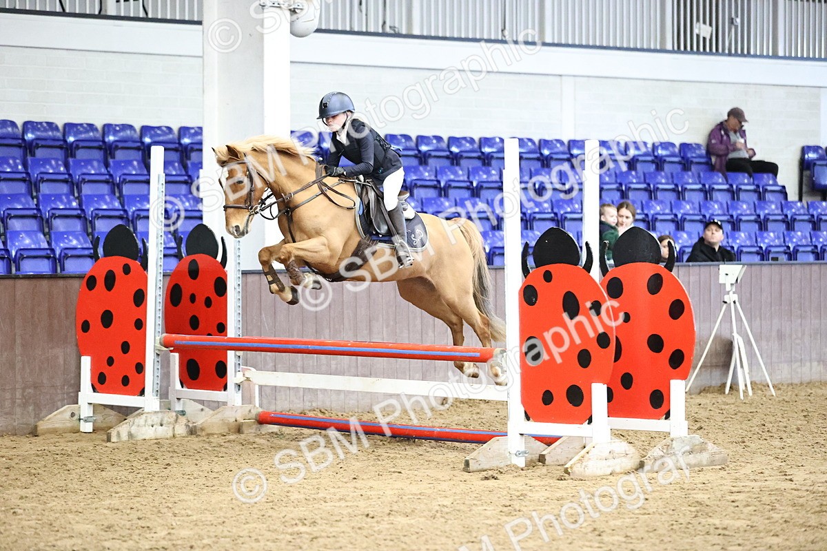 SBM_001467 - Class 9 - Pony British Novice 80cm
