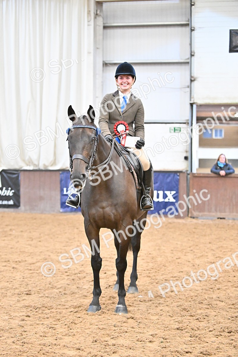 SBM_002402 - Class 22 - BSHA Ridden Hack & Riding Horse
