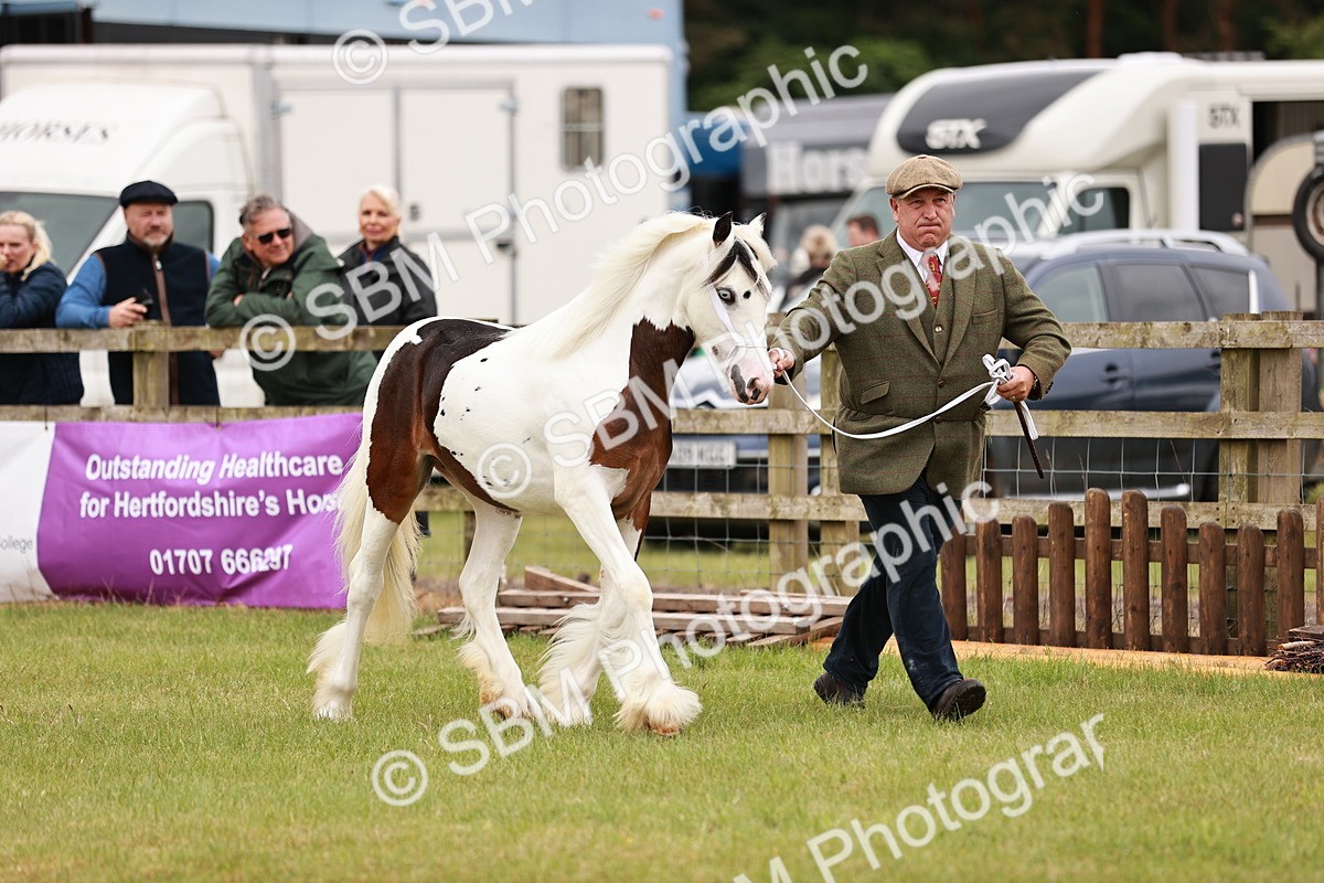 SBM_04554 - Class 5-8 - BSPA In hand