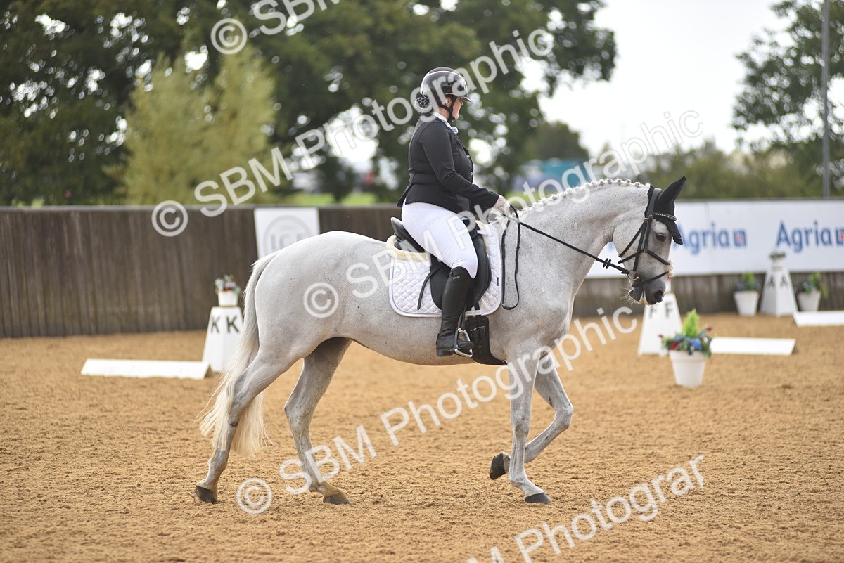 SBM_02104 - D7 - Small Tour Championship Prelim 2