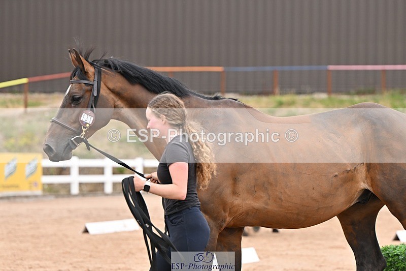 250716-155113-02238 - Trot Up 3.30 to 4.30