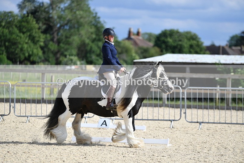 WJ5_7768 - Time 16:40 to 16:55