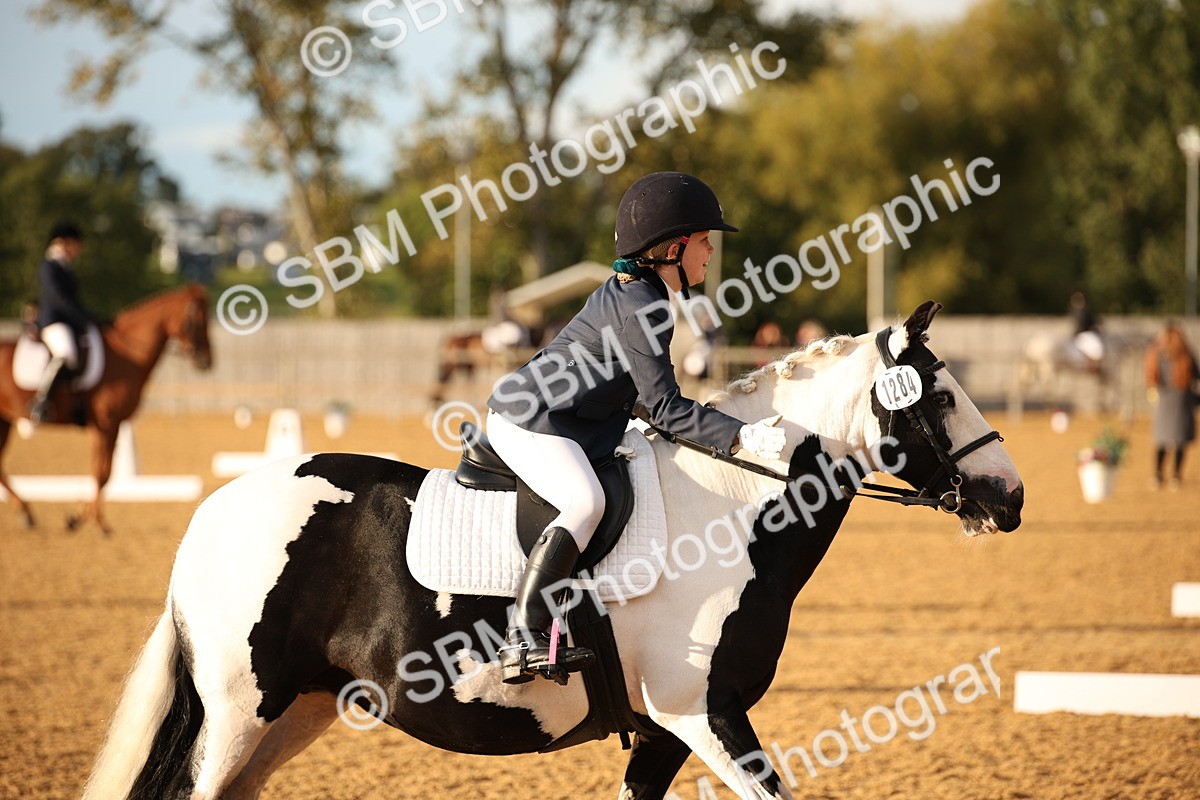 SBM_12451 - D3 Small  Tour Championship Intro A