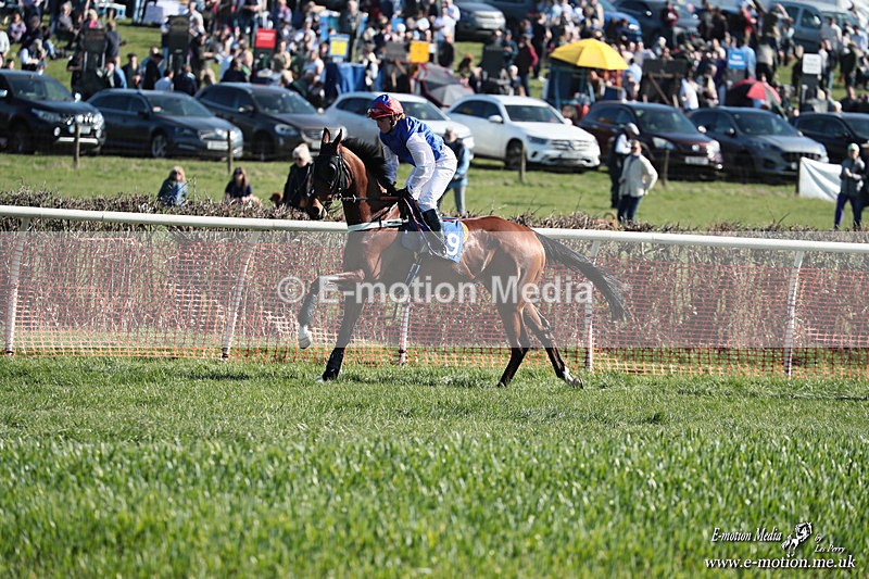 PtP 210326 268 - VWH Cirencester Races 21/03/26