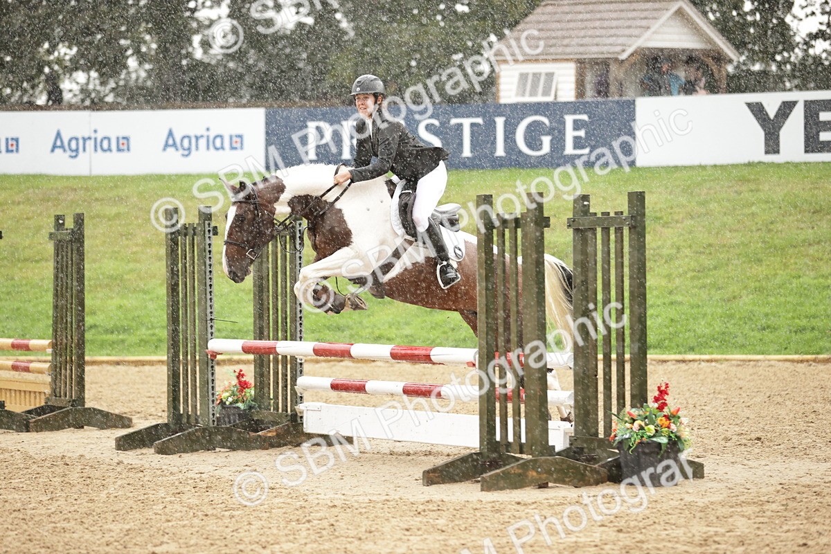 SBM_33118 - J38 - Senior Horse & Pony 80cm Championship