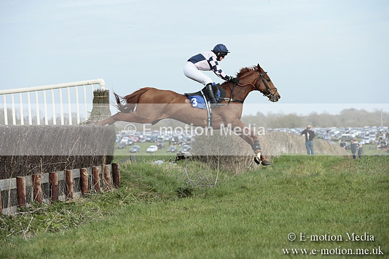 PtP 230319 362 - VWH Hunt Siddington Point-to-Point Racing 23/03/19