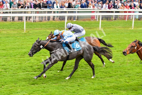 190523-Race 1-Got To Love A Grey-0568 - Race 1 1.50pm Clipper EBF Marygate Fillies' Stakes