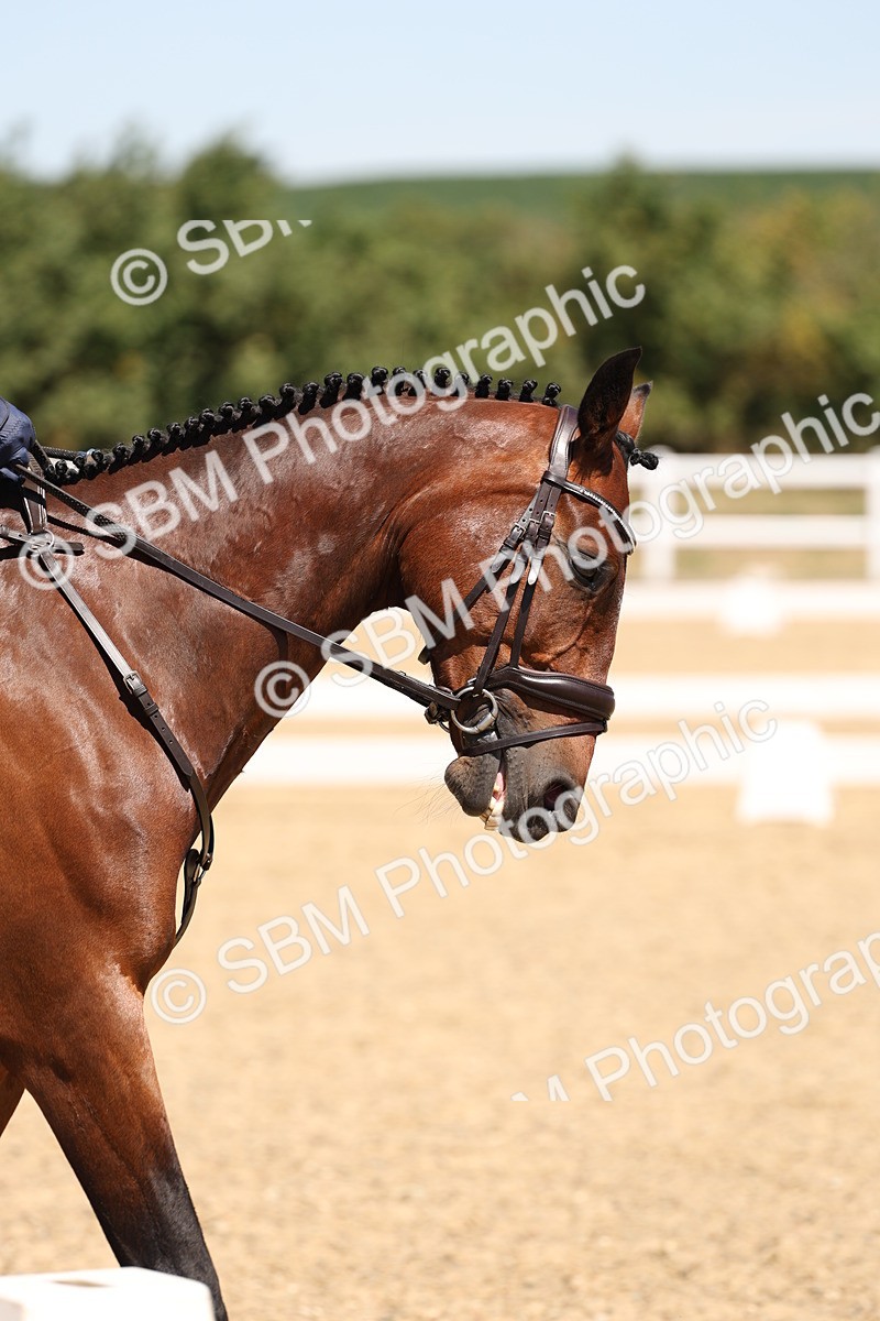 SBM_002147 - Elementary 4 Warm Up