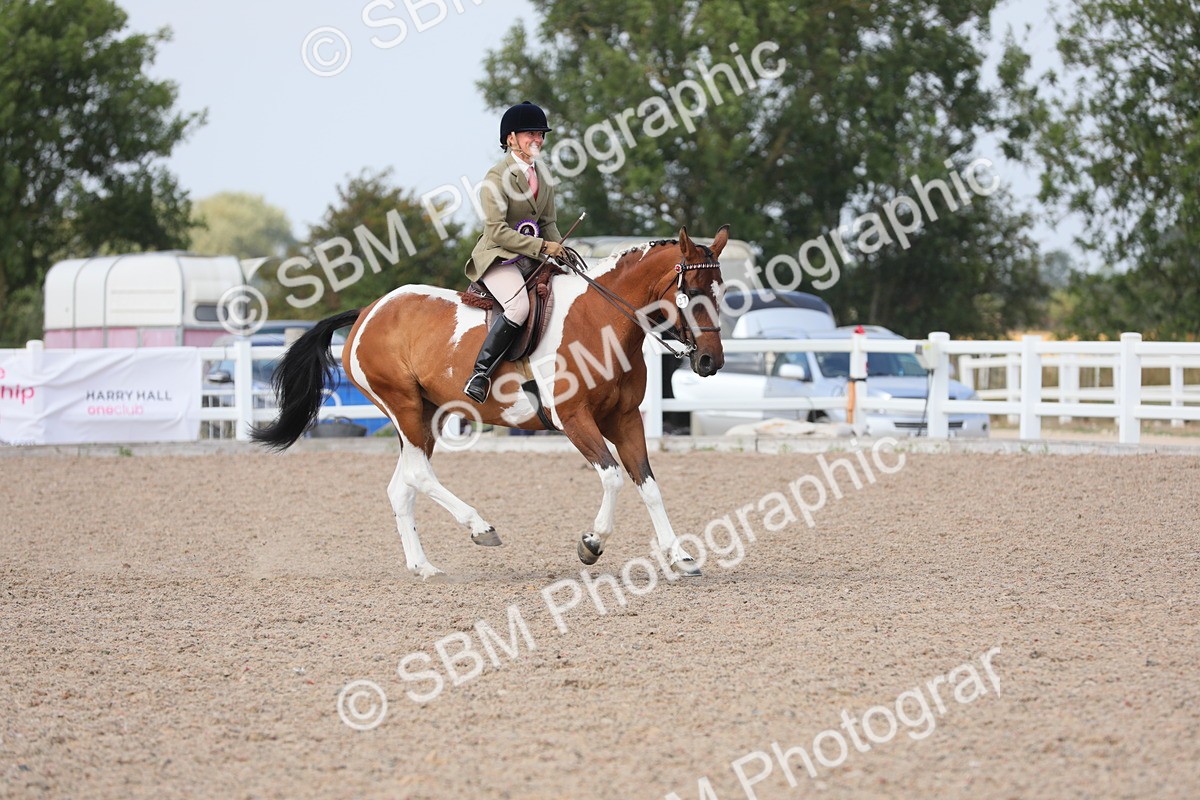SBM_13557 - Class 308 Ridden Coloured Horse