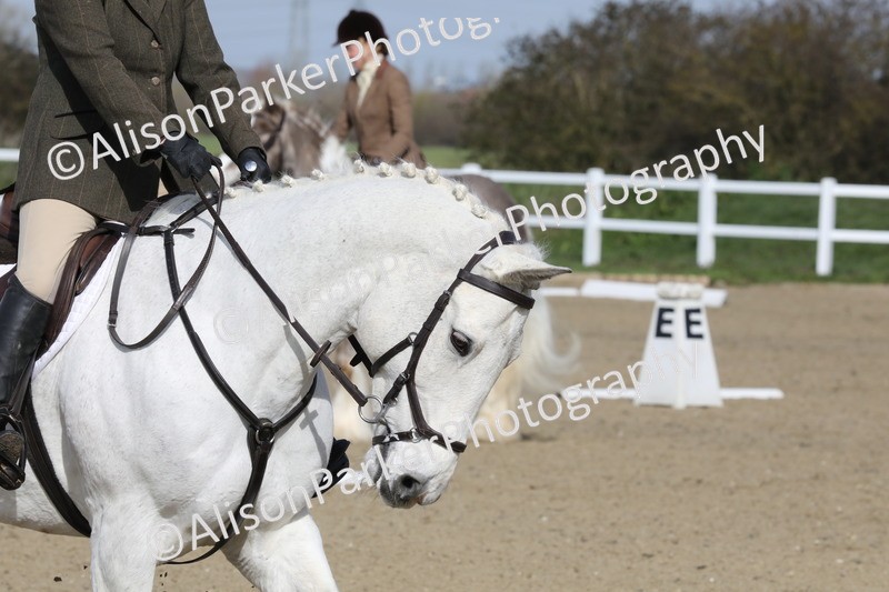 20260314-1784 - CT2 - Prelim 1