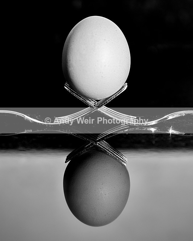 Eggstraordinary - Miscellaneous Photographs