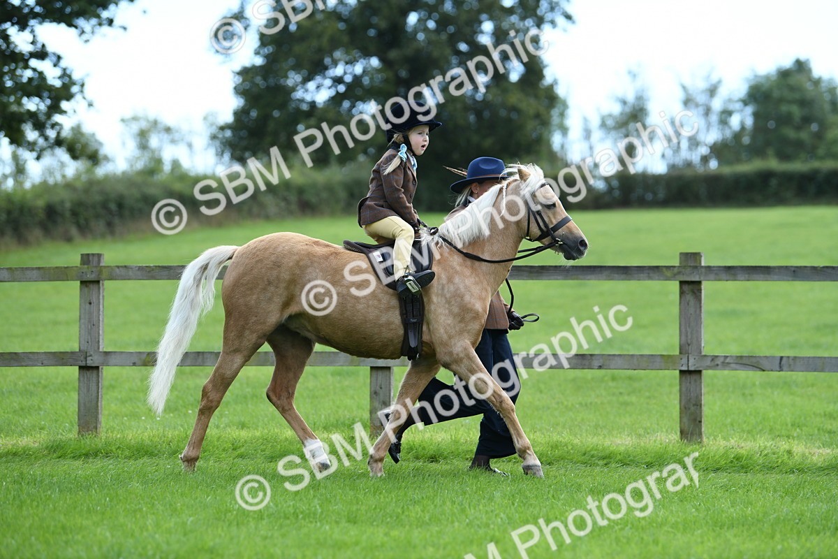SBM_42434 - S20 - Lead Rein Mountain & Moorland Pony