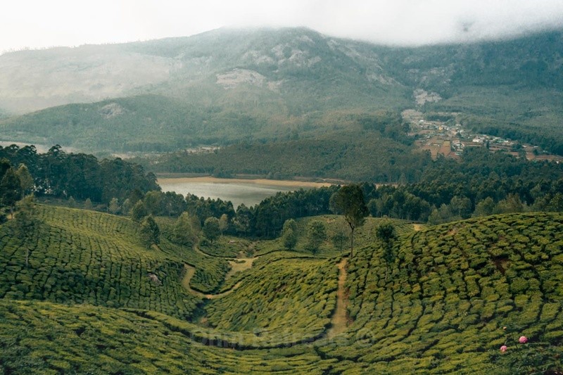 Munnar