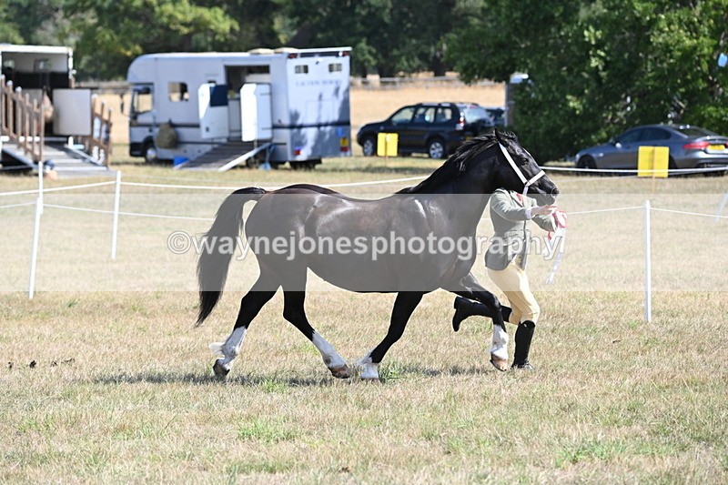 WJ6_5109 - Class 17 Mountain & Moorland