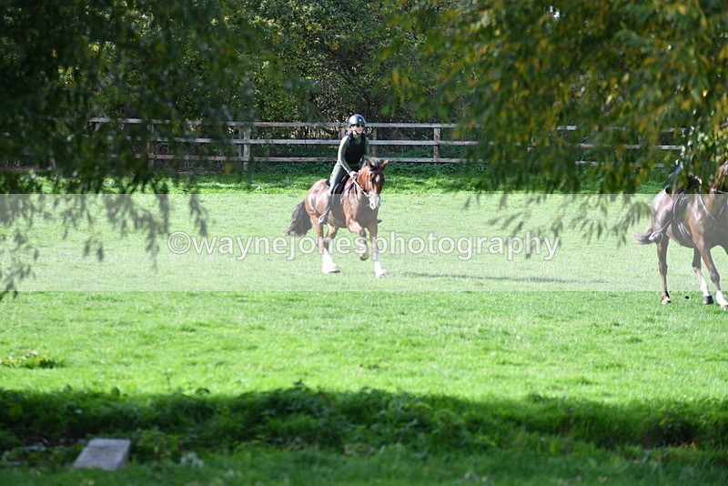 WJ5_7919 - Time 10:31 to 12:01