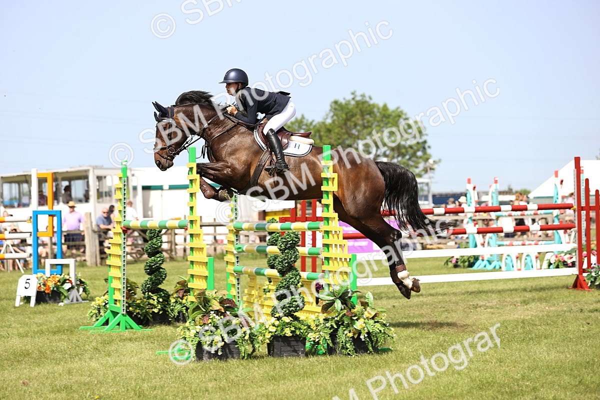 SBM_03126 - Class 201 - British Horse Feedds Speedi Beet HOYS Grade C