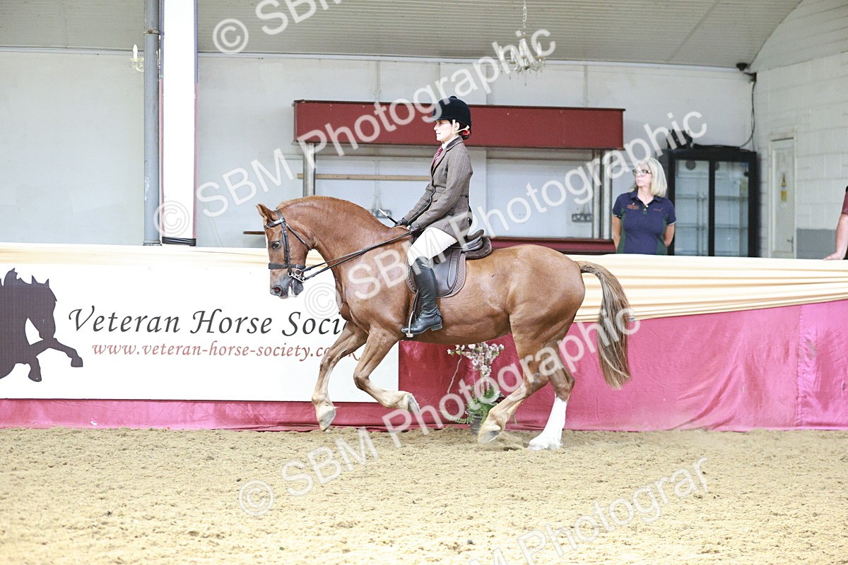 SBM_07019 - Class 10R - Regional Ridden Diamond