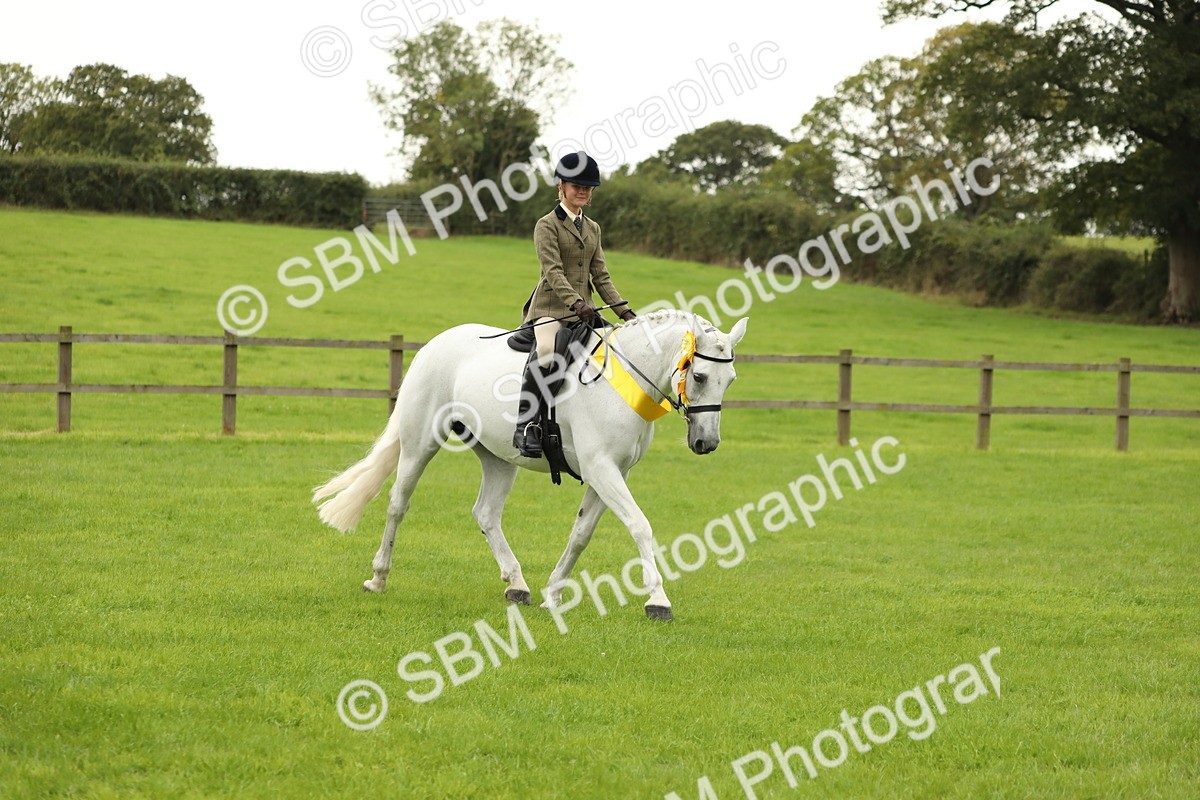 SBM_71452 - S41 - Ridden Equitation (Best Rider)