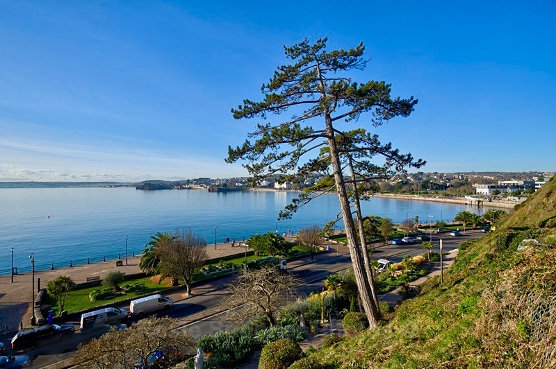 TQ215 - Looking down on Looe from Rock Walk - Special offer cards £1.25 each (minimum order 8). No extra postage