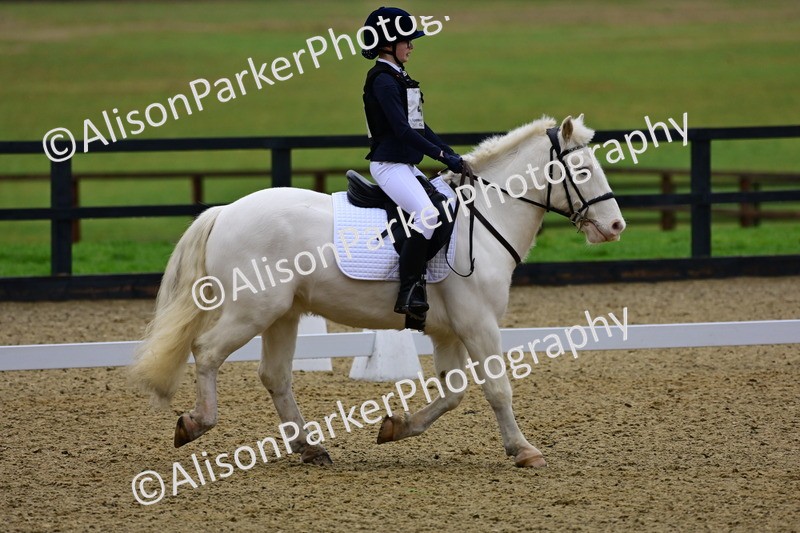 20260125-0581 - Class 9b - Walk Trot Unassisted