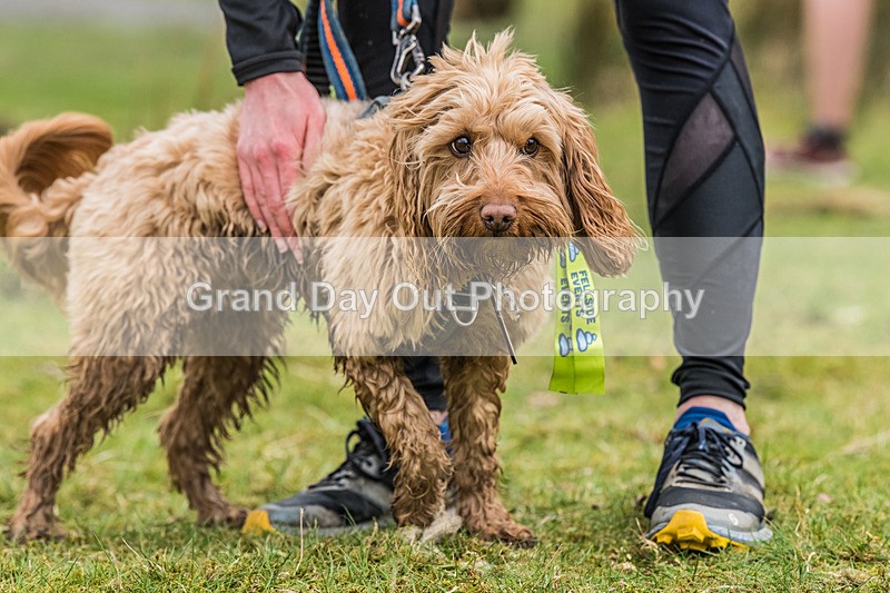 Buttermere-1675 - Fellside Events Buttermere Trail Race Sunday 22nd March 2026
