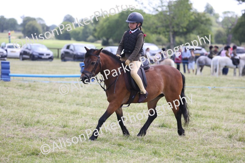 20260614-1835 - Class 21 - Novice Working Hunter Pony