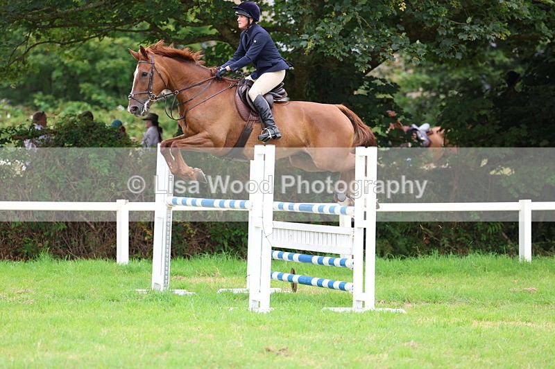 3E7A8383 - Class 8: Senior Foxhunter/1.20m open