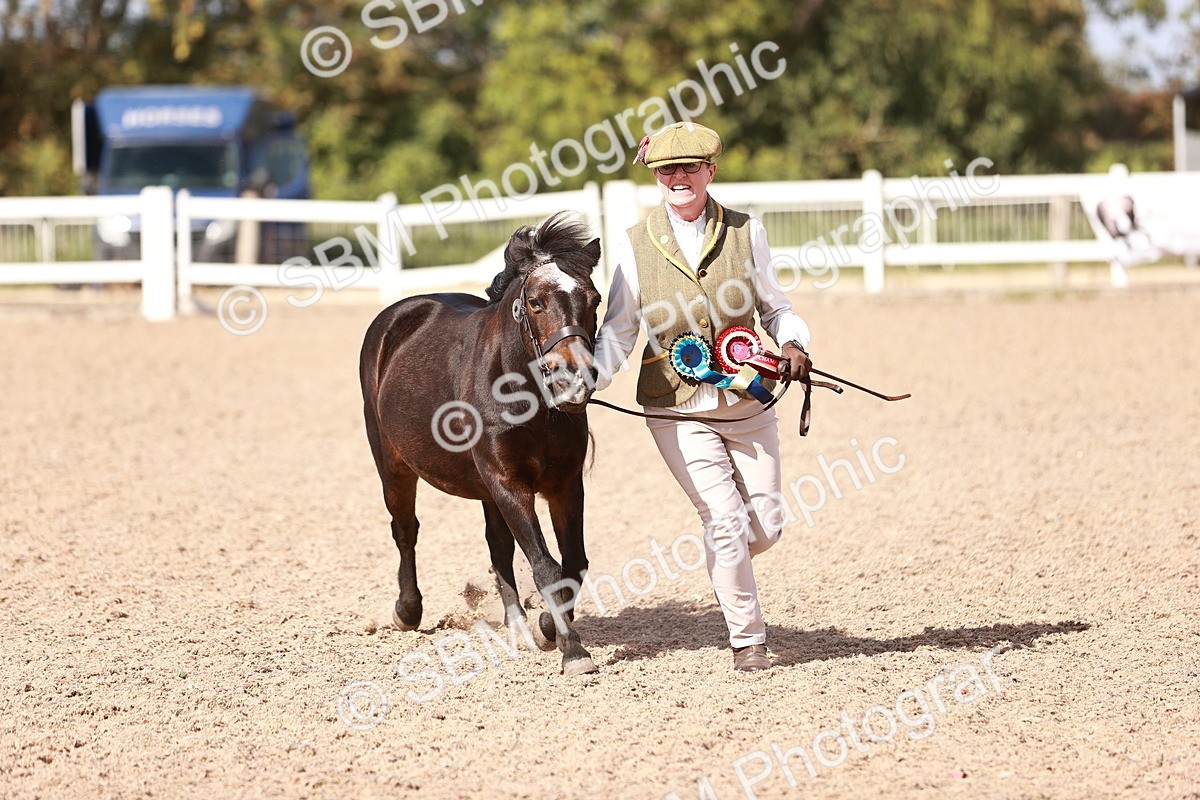 SBM_23027 - Class 707 - IH groom Helpers Class
