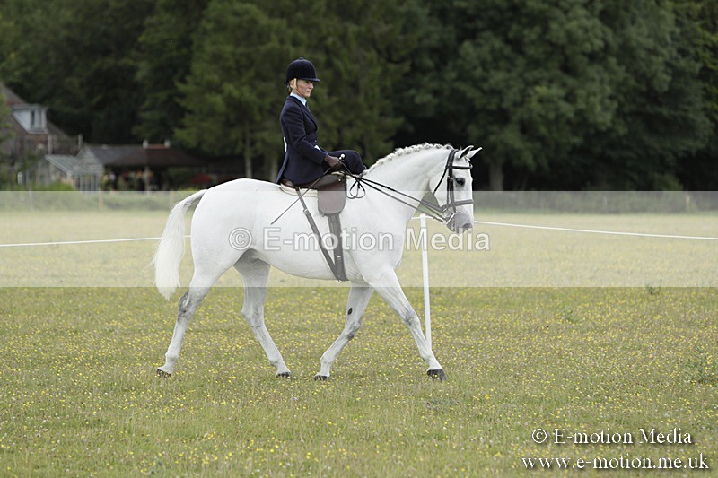 BVR160717-2344 - Side Saddle Classes 16/07/17