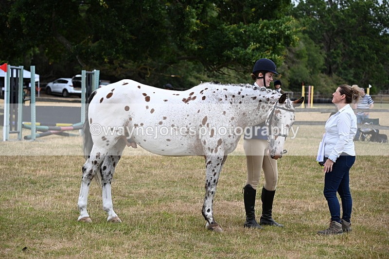 WJ6_4273 - Class 10 Coloured In-hand