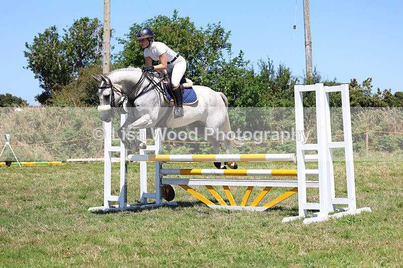 3E7A5587 - Class 9: Senior British Novice/90cm open